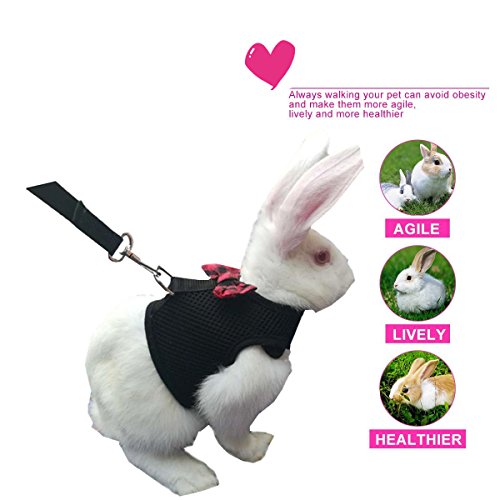 4 Harness+Stylish+Adjustable+Breathable+Walking