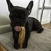 Himalayan Dog Chew Original Yak Cheese Chew, 1 X-Large Stick, 5.3 oz, Gluten Free, Healthy Treats, Grain & Lactose Free 100% Natural, Long Lasting for Dogs Over 55 lbs