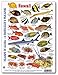 fishcardscom New! Hawaii Reef Fish and Invertebrate ID Set of 2 Identical Cards 6x9 Inches
