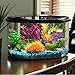 Koller Products AquaView 3-Gallon Fish Tank with LED Lighting and Power Filterthumb 4
