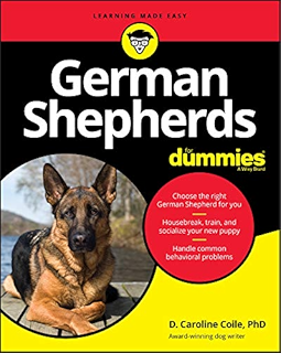 german shepherd savvy