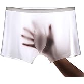 besurJameso Men's Underwear 3D Stereo One-Piece Men's Ice Silk Boxer Breathable Seamless Sexy See-Through Transparent Briefs
