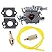 Hipa Carburetor with Repower Kits for Poulan 2200 2275 2500 2600 2750 2775 2900 3050 PP255 PP295 PP310 PP315 PP4620AVL PP4620AVX PP4620AVHD Gas Chainsaw