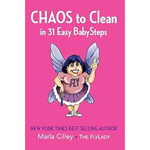 CHAOS to Clean: in 31 Easy BabySteps