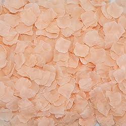 CODE FLORIST 2200 PCS Silk Flower Rose Petals for