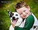 All Natural Dog Ear Cleaner - Gentle, Soothing Drops Help Prevent Itching, Mites & Infection | Premium Quality, Large 8 Oz. Size, Made & Sold in USA by Brave Beagle