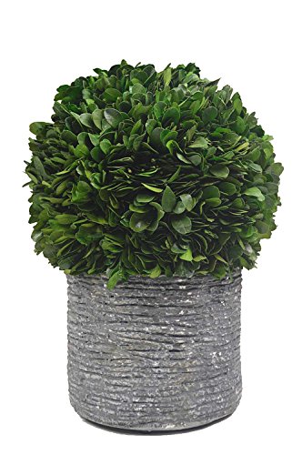 Galt international topiary plant with decorative pot, 1…