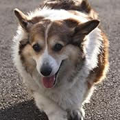 カスタマー画像