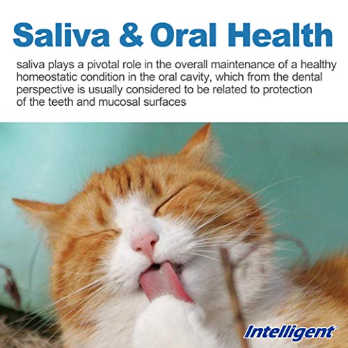 INTELLIGENT Dog Toothpaste Enzymatic for Dog teeth cleaning, Breath