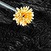 LOCHAS Luxury Round Fluffy Area Rugs for Bedroom Kids Girls Room Nursery, Super Soft Circle Rug, Cute Shaggy Carpet for Children Living Room, 4x4 Feet Black