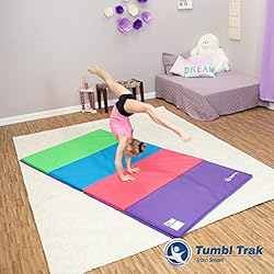 Tumbl Trak Gymnastics Folding Tumbling Panel