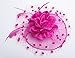 K.CLASSIC Fascinators Hats for Womens 50s Headwear with Veil Flower Cocktail Wedding Tea Party Hat(A-Rose)