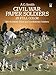 Civil War Paper Soldiers in Full Color: 100 Authentic Union and Confederate Soldiers (Dover Children's Activity Books)