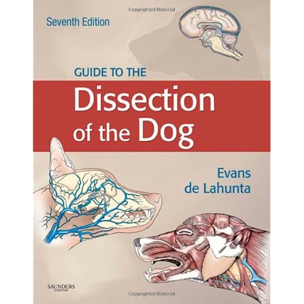 Guide To The Dissection Of The Dog 9781437702460 Medicine Health Science Books Amazon Com