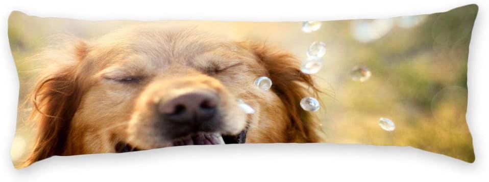 pillow with dogs face on it