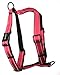 SPORN Ultimate Control No Pull Dog Harness for Large Dogs - 4-in-1 Adjustable L/XL Dog Harness with Front, Back & Dual-Clip Options & Emergency Grab Handle - Easy On/Off, Padded Comfort (Red, L/XL)