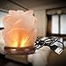 Niubity Himalayan Pink Natural Salt Lamp,USB Light Wooden Base Himalayan Crystal Rock Salt Lamp Air Purifier Night Light (Rose)