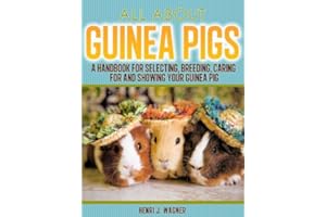 About Guinea Pigs: The Ultimate Guide For Breeding Guinea Pigs