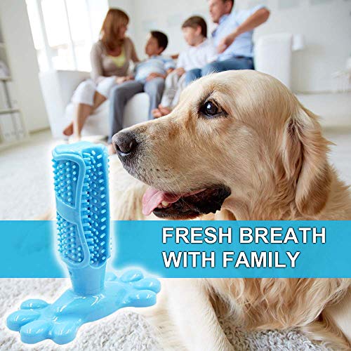 AomeTech Dog Toothbrush Dental Care Brushing Stick Effective Doggy Teeth Cleaning Massager Nontoxic Natural Rubber Bite Resistant Chew Toys Finger Toothbrush for Dogs Pets (M, Blue)