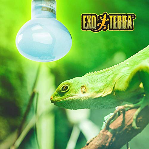 Exo Terra SunGlo Basking Spot Lamp, 75Watt/120Volt Pricepulse
