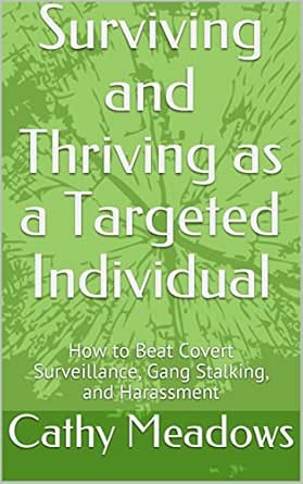 Surviving And Thriving As A Targeted Individual How To Beat Covert Surveillance Gang Stalking And Harassment Kindle Edition By Meadows Cathy Politics Social Sciences Kindle Ebooks Amazon Com