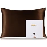 ZIMASILK 100% Pure Mulberry Silk Pillow Cases for Hair and Skin, Queen | Soft, Hypoallergenic &amp; Smooth, Both Sides Grade 6A Silk, Hidden Zipper, Gift for Women Men, 1pc (Queen 20"x30", Chocolate)