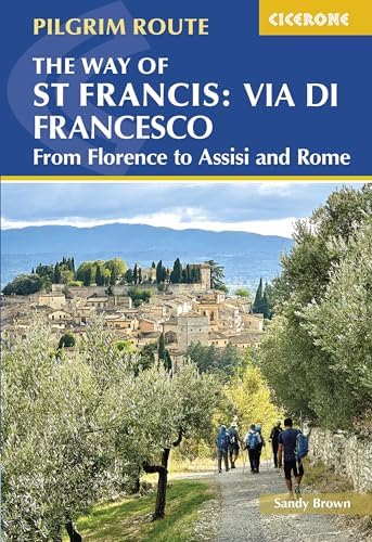 Amazon.com: Silius Italicus' Punica: Rome's War with Hannibal