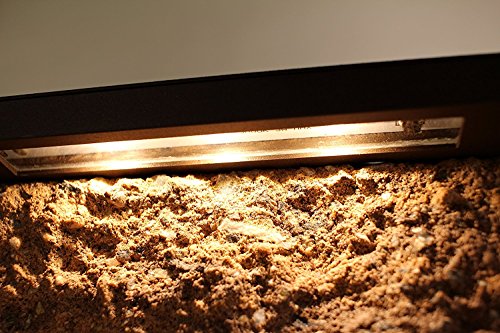 AL6 HARDSCAPE PAVER WALL LIGHT