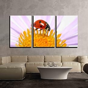 3 Piece Canvas Wall Art - Ladybug Sits on a Flower Petal - Modern Home Art Stretched and Framed Ready to Hang - 16"x24"x3 Panels