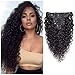 Water Wave Curly Clip ins Brazilian Grade 8A Virgin Remy Water Curly Human Hair Extensions Double Weft 1B Natural Black Color for Black Women 8Pcs/lot 120g/set Apeasex (12 Inch, Water Wave)