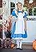 Child Alice in Wonderland Deluxe Alice Costume Dress Large (12-14) Blue,White