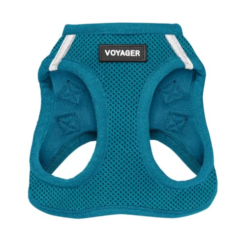 Voyager Step-In Air Dog Harness by Best Pet Supplies - All Weather Mesh Step in Vest Harness for Small and Medium Dogs, Turquoise, size XS - Chest: 13 - 14.5
