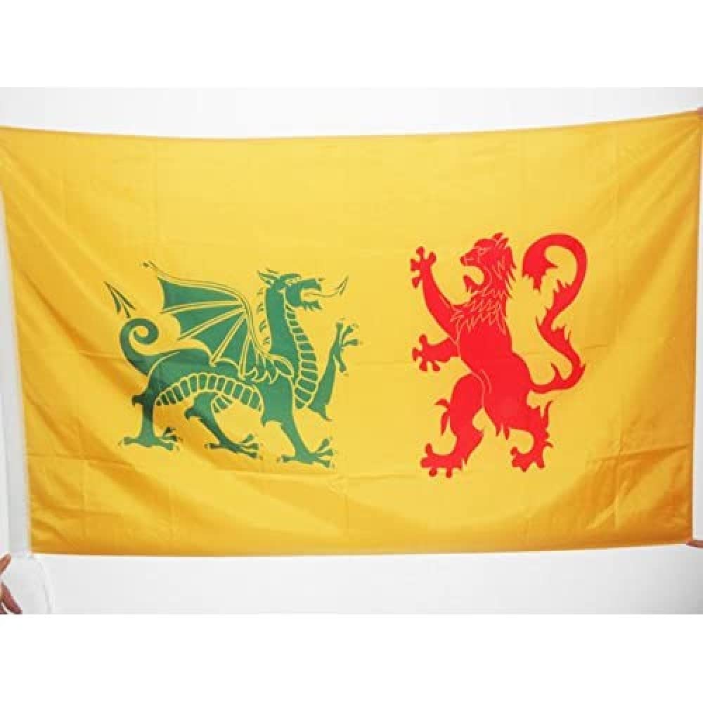 AZ FLAG - Kingdom of Galicia 410-585 Flag - 2x3 Ft - Dinastía real sueva Reino de Gallaecia Banner with Sleeve - 100% Polyester - Fade Resistant - Vivid Colors - 2' x 3' Feet - 90x60 Cm