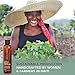 Haitian Black Castor Oil - 100% Pure & Unrefined (Lwil Maskriti/Palma Christi)