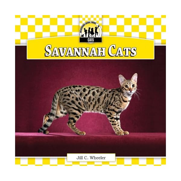 Savannah Cats (Checkerboard Animal Library: Cats) – kittymews | Cat ...