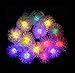 NeutralPure ECO Snowball Solar Powered String Lights (50 LED); Christmas Party, Outdoor, Patio and Garden Friendly