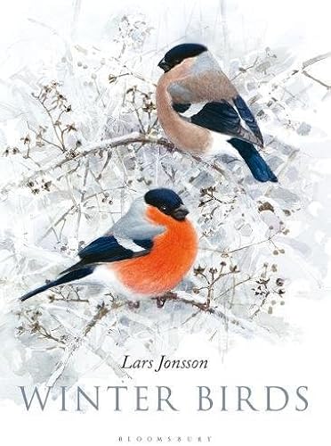 Download Winter Birds PDF
