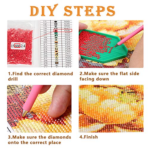 DIY 5D Diamond Painting by Number Kits for Adults, Round Drill