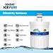 Golden Icepure LT500P Refrigerator Water Filter Replacement for LG LT500P, 5231JA2002A, ADQ72910907, ADQ72910901, Kenmore 469890 (2-Pack)