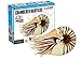 Fame Master Enterprise Build Your Own Chambered Nautilus Fossil Model 3D Puzzle for Age 6+ (24 Piece), 3
