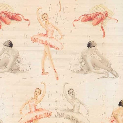 TassottiPaper - Ballerina 19.5"x27.5" Sheet