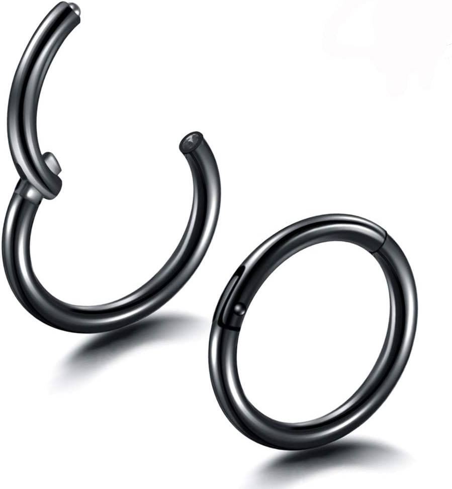 Jusway 1 Pair Titanium 1/4 (6mm) Tiny 16G (Thin) Hinged Segment Ring Hoop Earring Tragus Jewelry