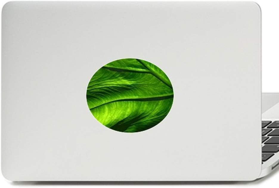 Banana Leaf Plant Picture Nature Vinyl Emblem Graphic Laptop Sticker Notebook Decal