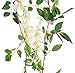 Miracliy Artificial Flowers Vine 2 Pcs 6.6ft Fake Silk Wisteria Ivy Vine Rattan Hanging Garland for Home Party Wedding Decor, White