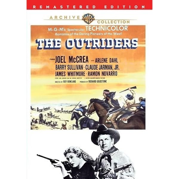 THE BIG LAND 大荒野 DVD 廃盤 Amazon.com: Big Land, The : Alan Ladd, Virginia Mayo, Edmond