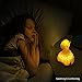 Dreampanion Portable Soothing LED Kids Night Light Lamp - Rechargeable with Wireless Charging Base (No Batteries Needed) - Transforms Kids Bedroom into a Tranquil and Relaxing Sleep Environment