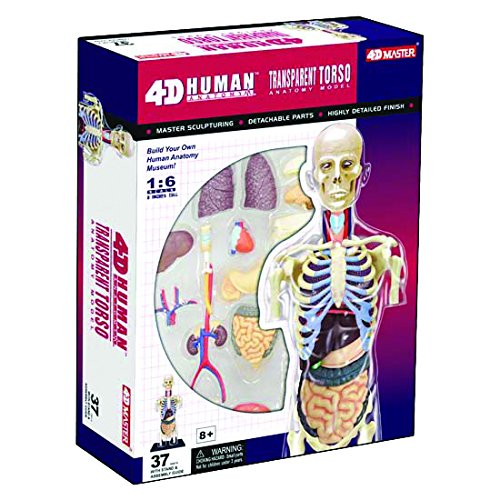 4D Master Transparent Human Anatomy Torso Model Kit, One Color Pricepulse