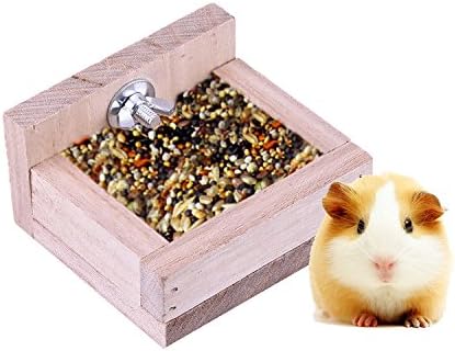Amazon Com Wooden Bird Feeding Bowl Dishes Hanging Food Feeder