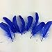 Sowder Natural Goose Feathers Clothing Accessories Pack of 100(Royal Blue)