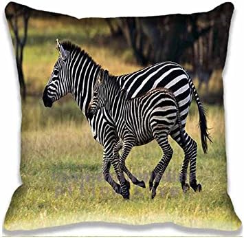 Cotton Polyester Pillowcase 18x18inch Twin Sides,Baby Zebra Running Pillow Case Coushion Cover Protector Decorative for Home Hotel Couch Bed